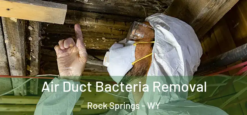  Air Duct Bacteria Removal Rock Springs - WY