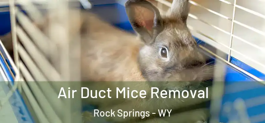 Air Duct Mice Removal Rock Springs - WY