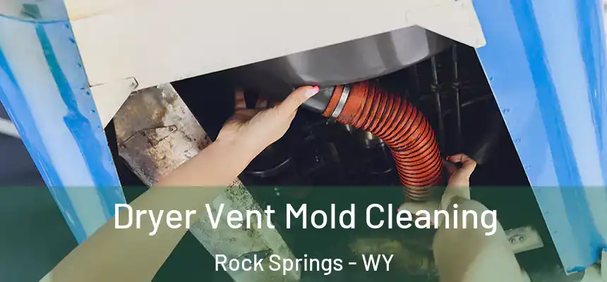 Dryer Vent Mold Cleaning Rock Springs - WY