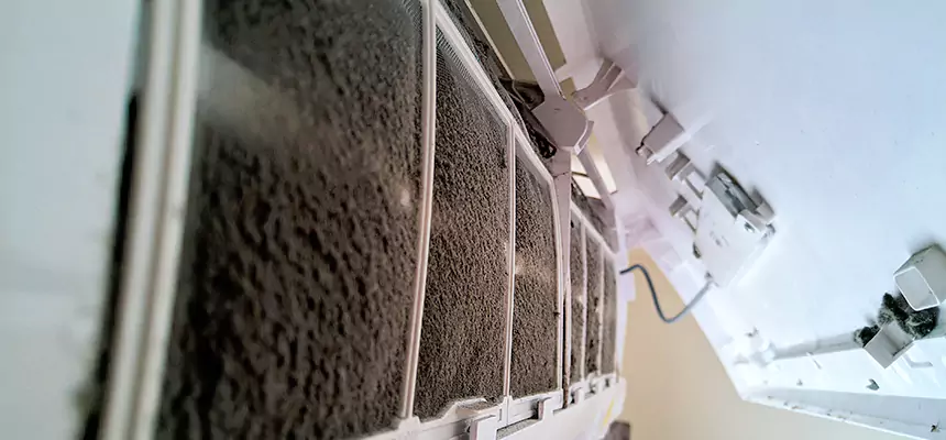 Preventive Air Duct Bacteria Removal in Rock Springs