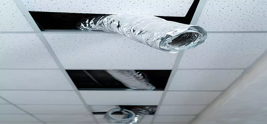 Affordable HVAC Sanitizing After Pest Removal in Rock Springs