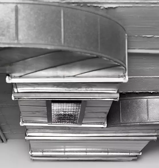 Professional Air Duct Pest Removal in Rock Springs, WY