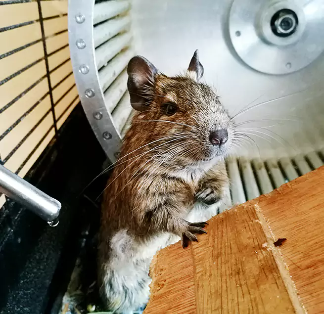 Why Homeowners & Businesses Trust Us Rock Springs, WY